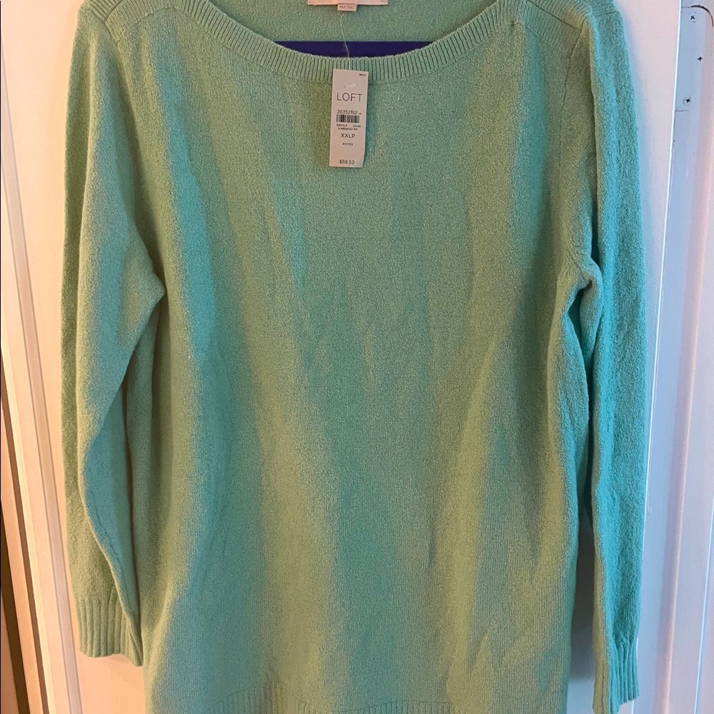 Loft Teal sweater.